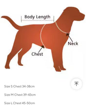 Load image into Gallery viewer, Puppy Harness