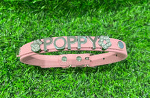 Load image into Gallery viewer, Personalised Dog Name Collar