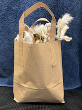 Load image into Gallery viewer, Hairy Rabbits Ear