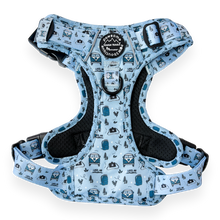 Load image into Gallery viewer, Tough Trails Harness - Reuben's Roadtrip - Patterned Border