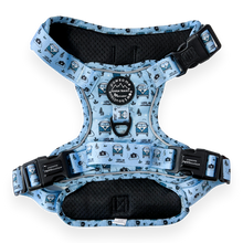 Load image into Gallery viewer, Tough Trails Harness - Reuben's Roadtrip - Patterned Border