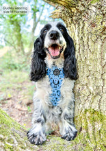 Load image into Gallery viewer, Tough Trails Harness - Reuben's Roadtrip - Patterned Border