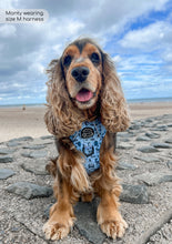Load image into Gallery viewer, Tough Trails Harness - Reuben's Roadtrip - Patterned Border