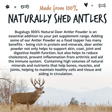 Load image into Gallery viewer, Bugalugs 100% Natural Deer Antler Supplement Powder for Dogs (70g)