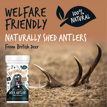 Load image into Gallery viewer, Bugalugs 100% Natural Deer Antler Supplement Powder for Dogs (70g)