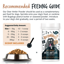Load image into Gallery viewer, Bugalugs 100% Natural Deer Antler Supplement Powder for Dogs (70g)