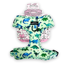 Load image into Gallery viewer, Dinky Dino Adjustable Harness