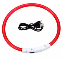 Load image into Gallery viewer, Dog Light up Collar USB Rechargeable