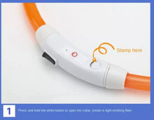 Load image into Gallery viewer, Dog Light up Collar USB Rechargeable
