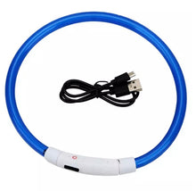 Load image into Gallery viewer, Dog Light up Collar USB Rechargeable