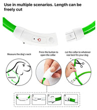 Load image into Gallery viewer, Dog Light up Collar USB Rechargeable