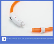 Load image into Gallery viewer, Dog Light up Collar USB Rechargeable