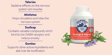 Load image into Gallery viewer, Scullcap & Valerian Tablets