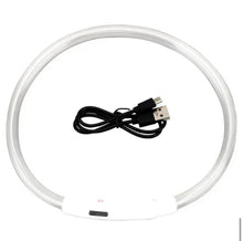 Load image into Gallery viewer, Dog Light up Collar USB Rechargeable