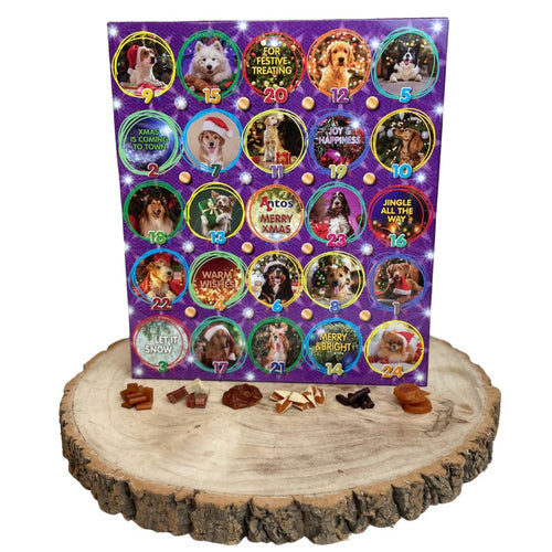 Christmas Advent Calendar (Raw Hide Free)