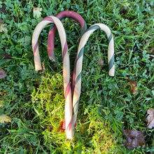 Load image into Gallery viewer, Christmas Dog Candy Cane
