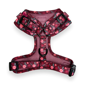 D-Ring Adjustable Harness - Mable's Meadow