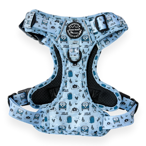 Tough Trails Harness - Reuben's Roadtrip - Patterned Border