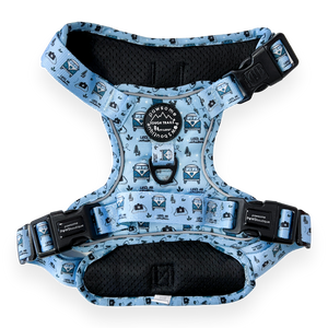 Tough Trails Harness - Reuben's Roadtrip - Patterned Border