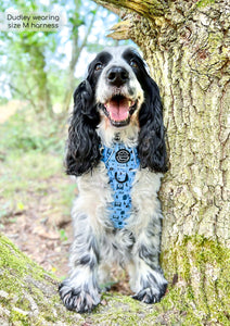 Tough Trails Harness - Reuben's Roadtrip - Patterned Border