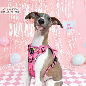 Tough Trails™ Harness - Candypop