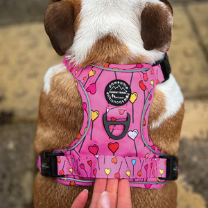 Tough Trails™ Harness - Candypop