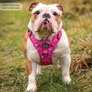 Tough Trails™ Harness - Candypop