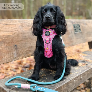 Tough Trails™ Harness - Candypop