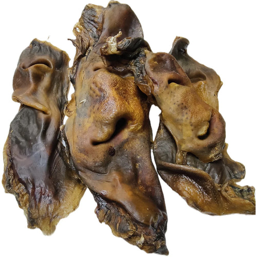 Beef Snout