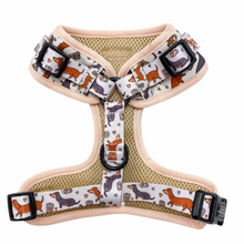 Load image into Gallery viewer, Dachshund D-ring Adjustable Harness