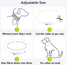Load image into Gallery viewer, Dog Light up Collar USB Rechargeable