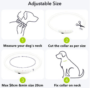 Dog Light up Collar USB Rechargeable