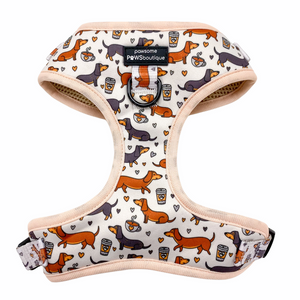 Dachshund D-ring Adjustable Harness