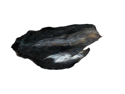 Goat Ears
