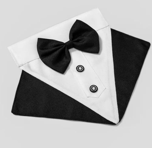 Dog Black Tuxedo collar
